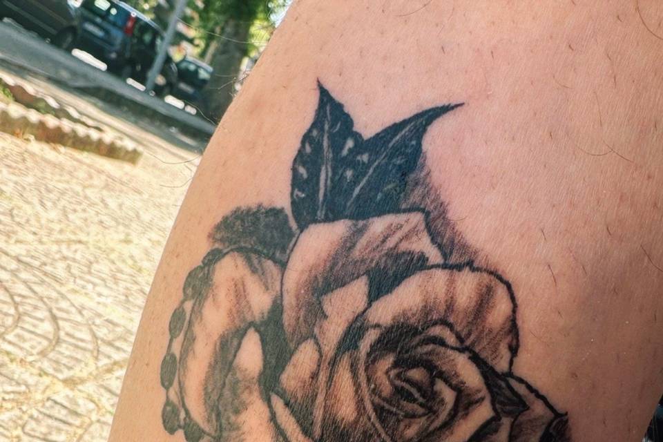 Rosa