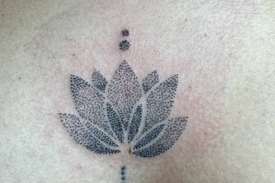 Fiore di loto
