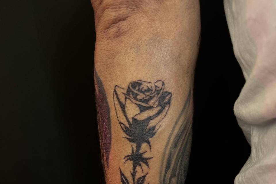 Rosa