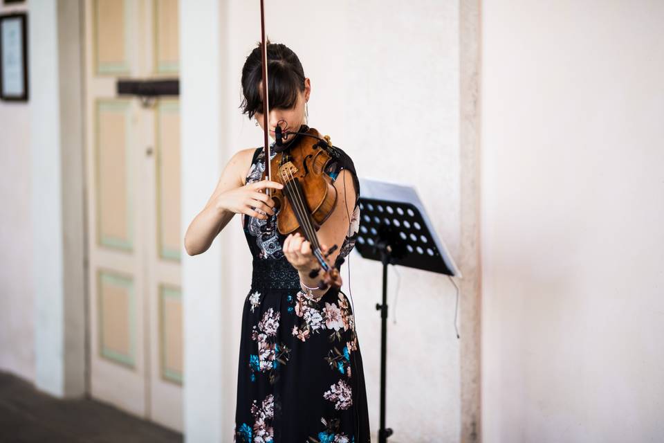 Violino matrimonio