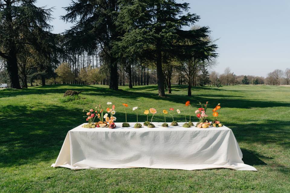 Golf club tolcinasco