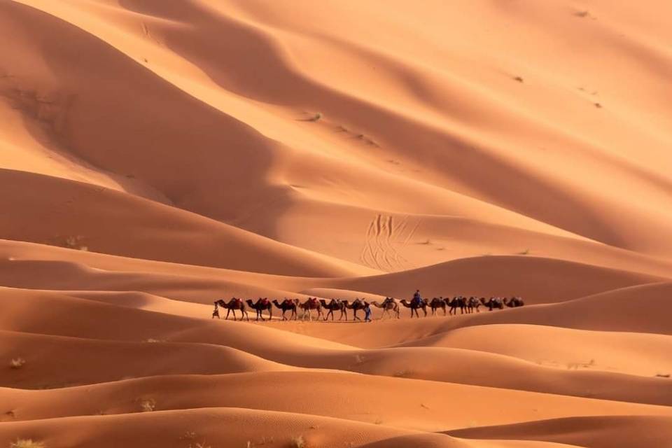 Deserto