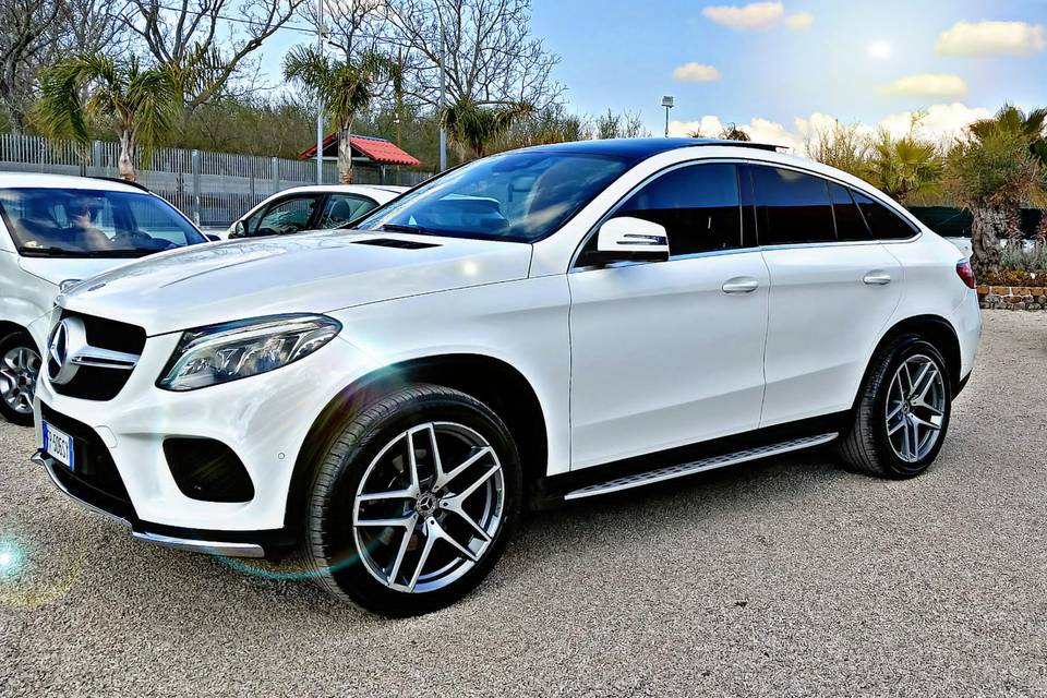 Gle