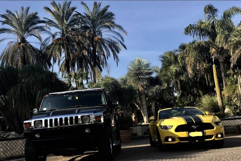 Hummer vs Mustang