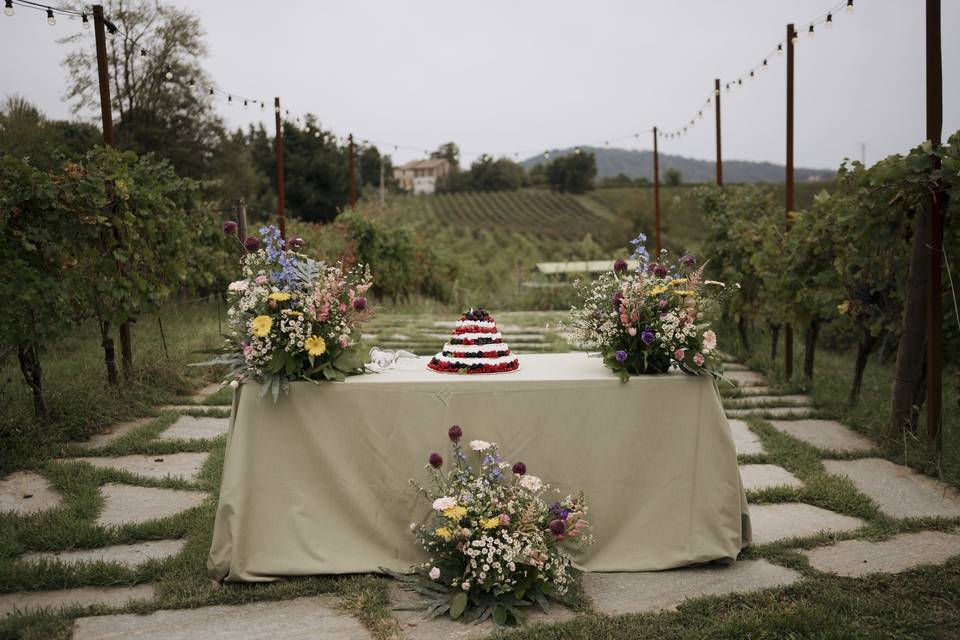 La Torta in vigna