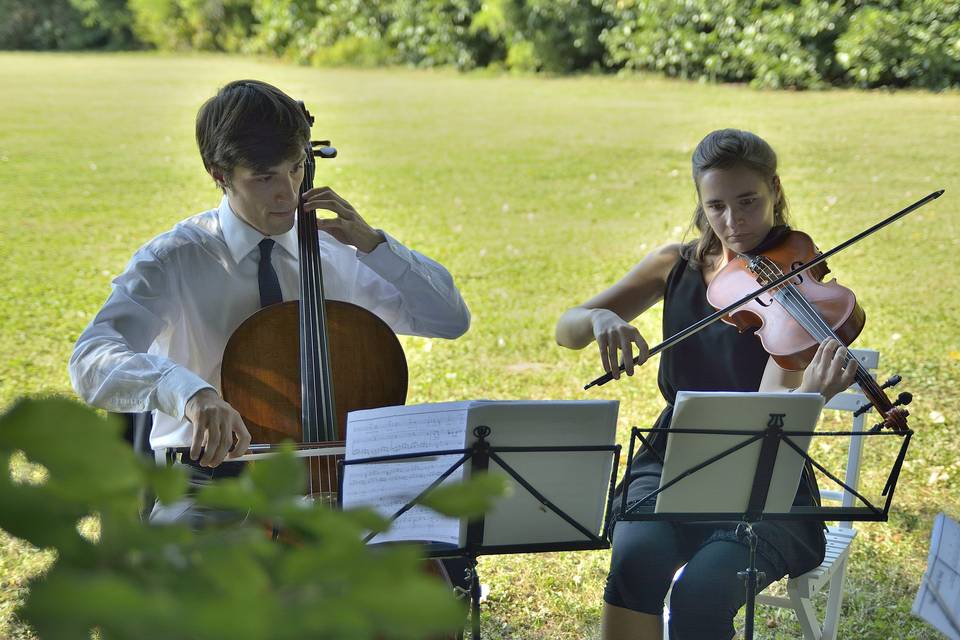 Violino e violoncello