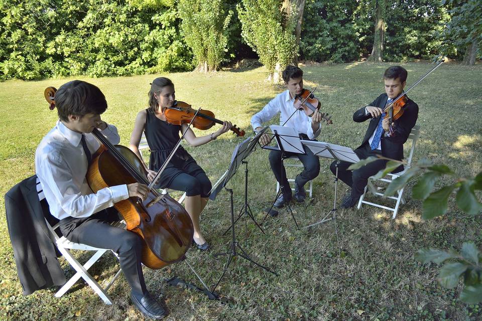 Arco Ensemble