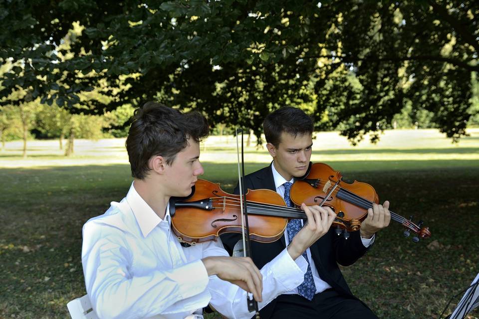 Violino e violoncello