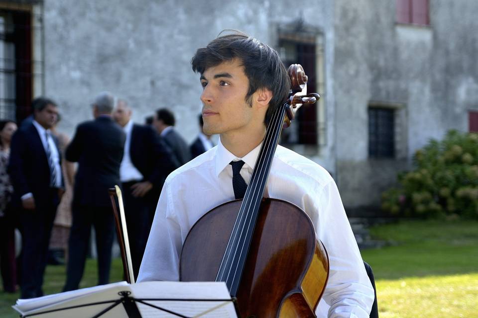 Violino e violoncello