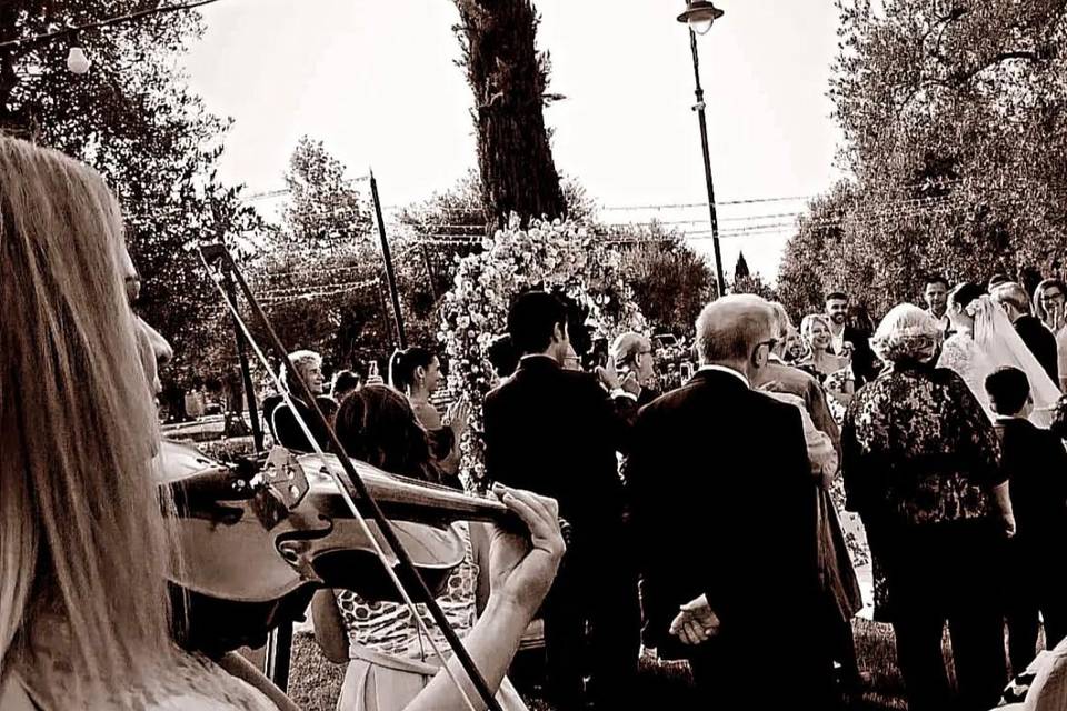 Musica live