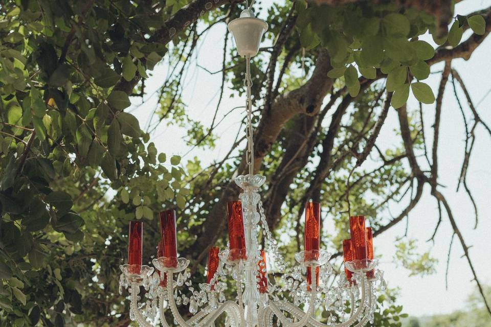 Decorazione Floreale e luci