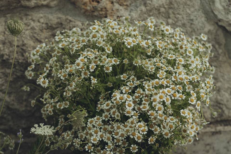 Fiori