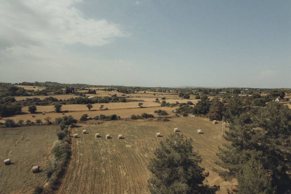 Spazi