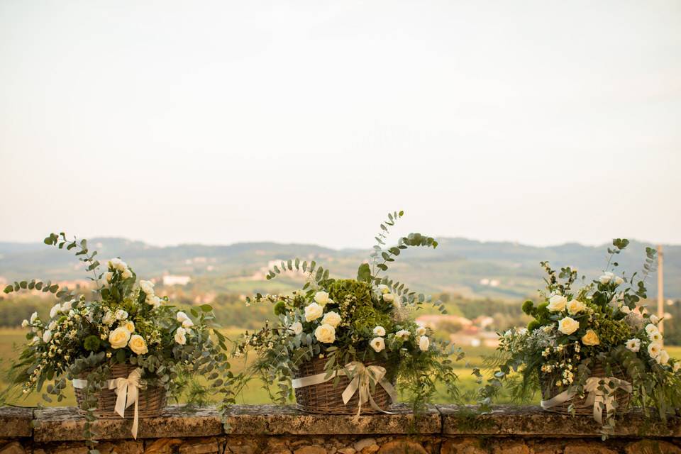 Fiori e panorami