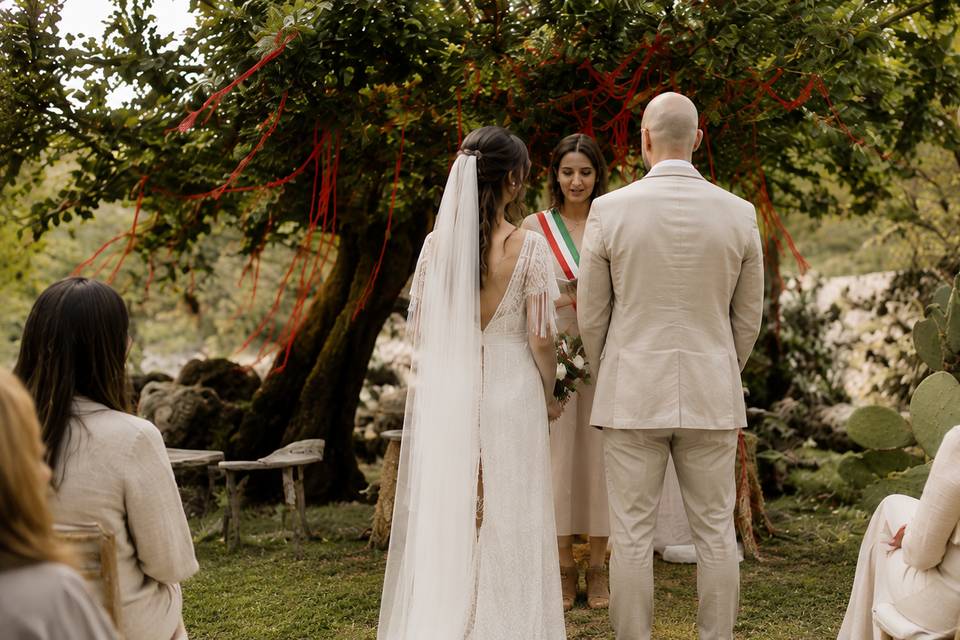 Celebrazione