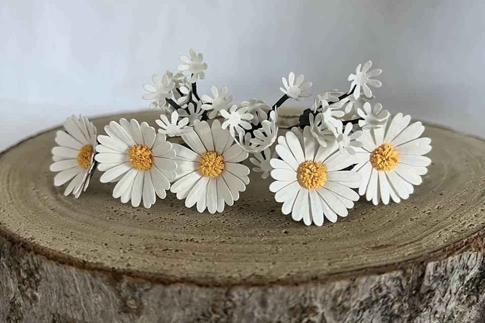 Accessorio capelli
