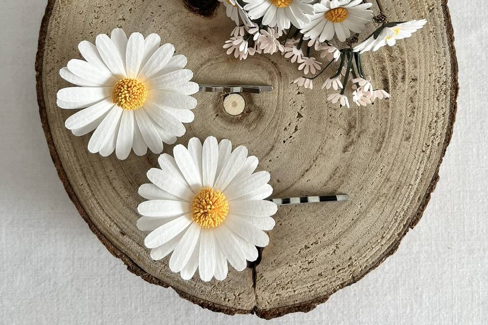 Accessorio capelli