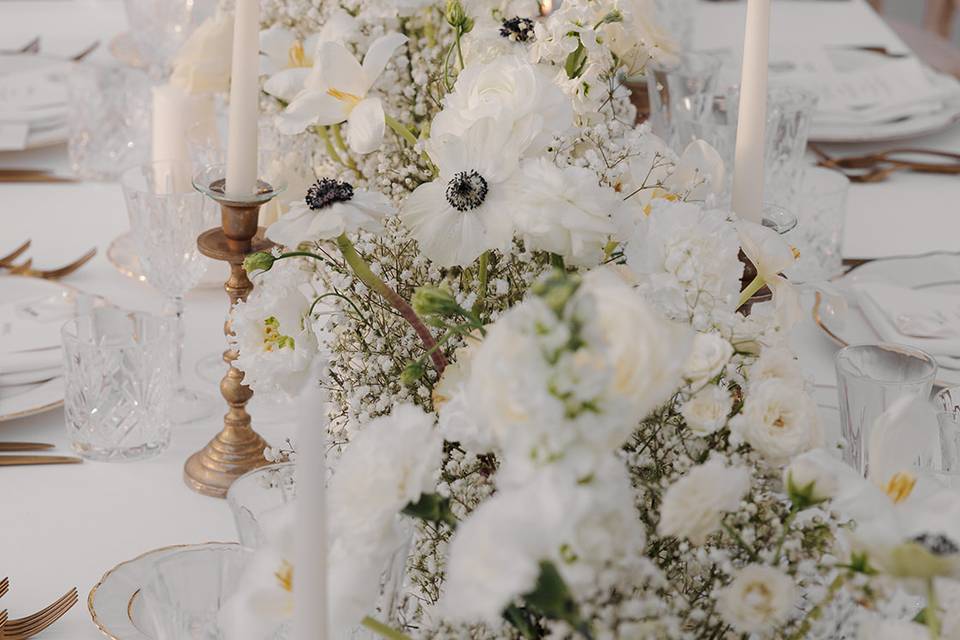 Bianco elegante