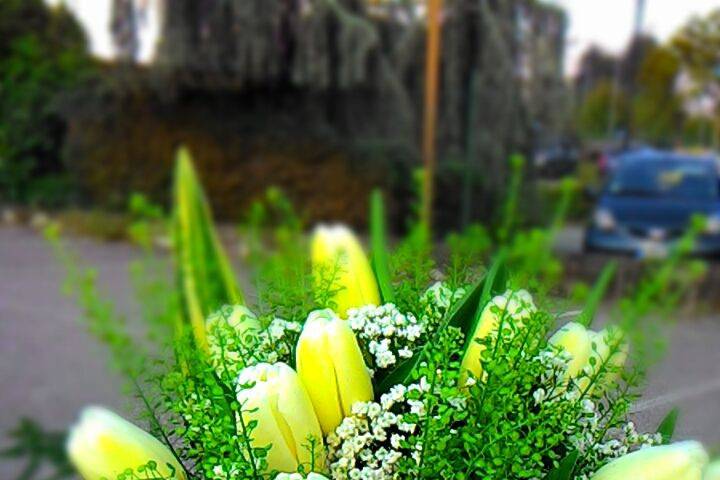 Bouquet tulipani