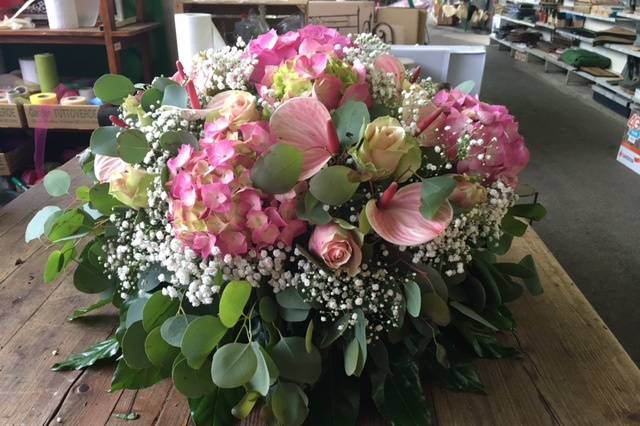 Ortensie anthurium rose