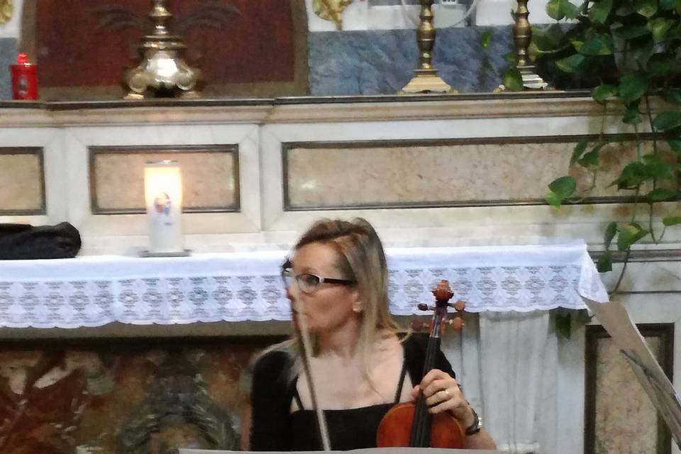 Violino