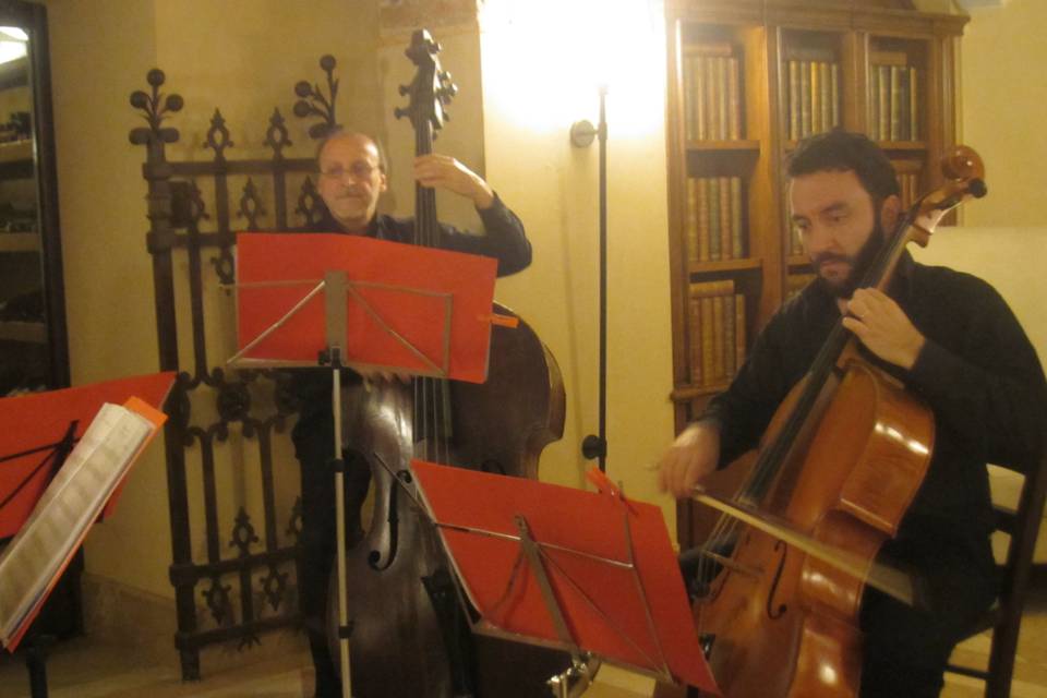 String Quartet Lebemi