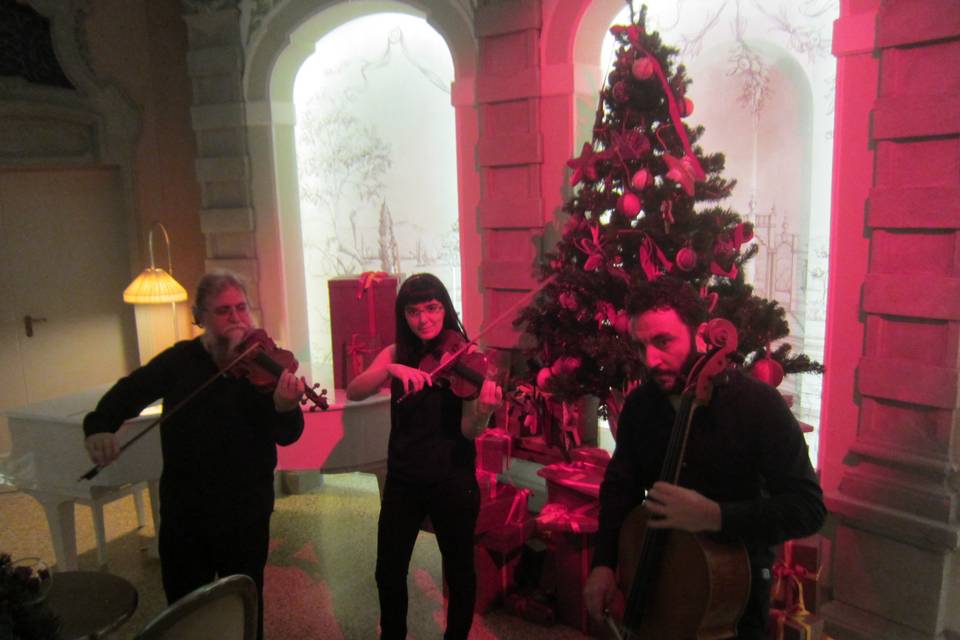 String Quartet Lebemi