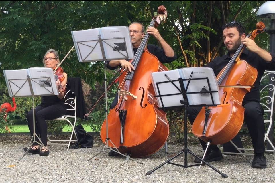 Quartetto a Villa Suardi