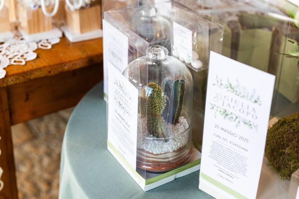 Terrarium gift