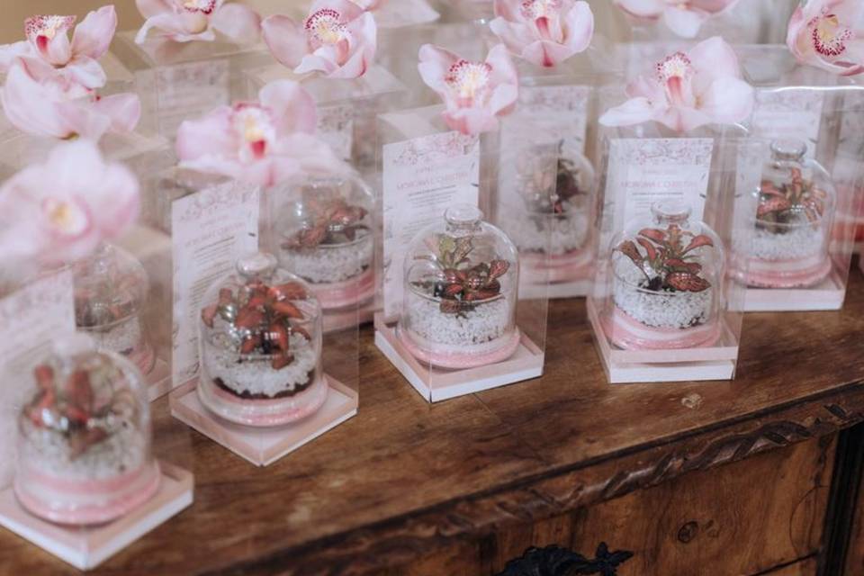 Terrarium Bomboniera Testimoni