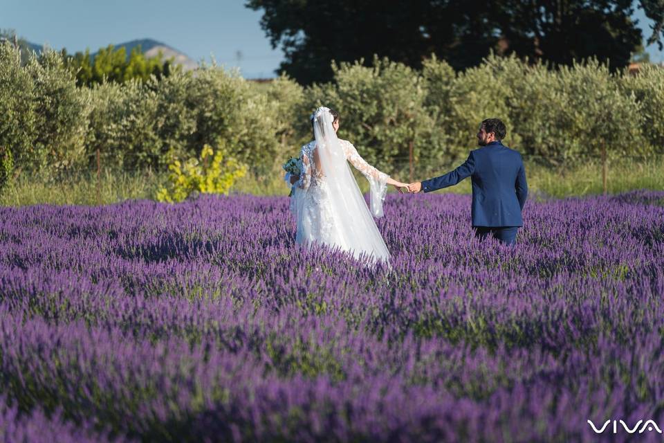 Servizio Fotografico