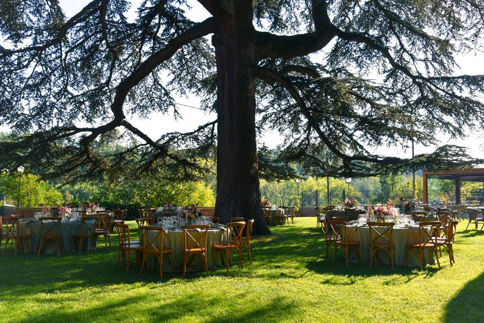 Cena sotto al Cedro