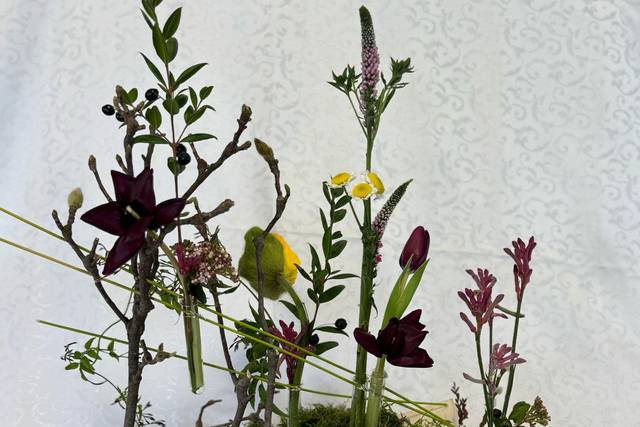 Composizione su struttura