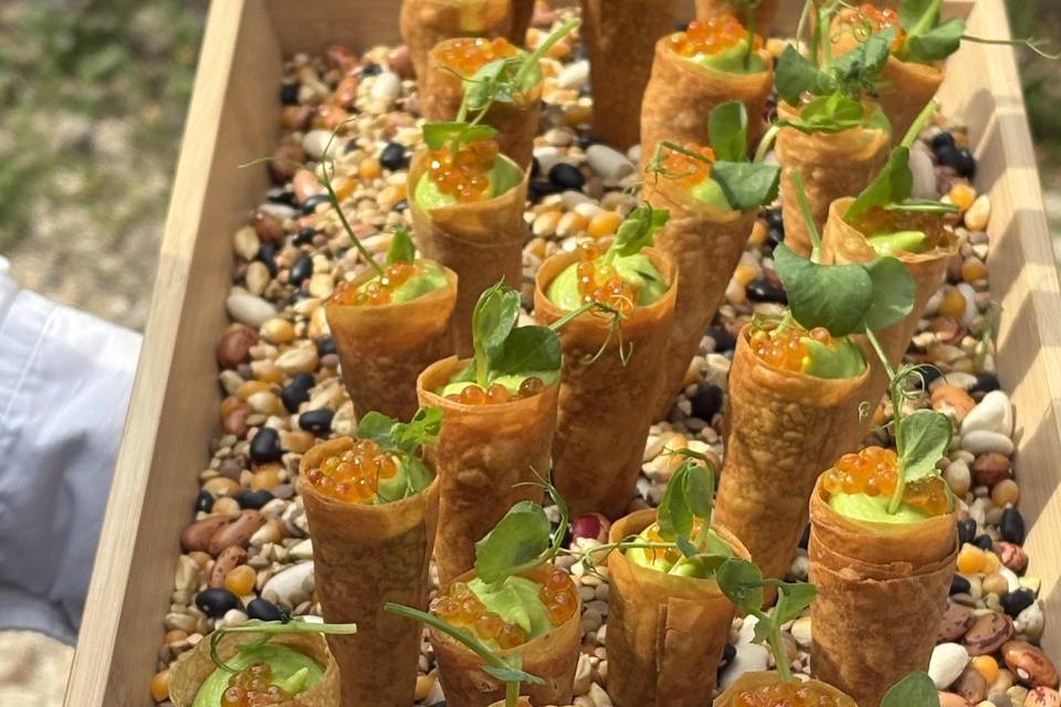 Finger food aperitivo