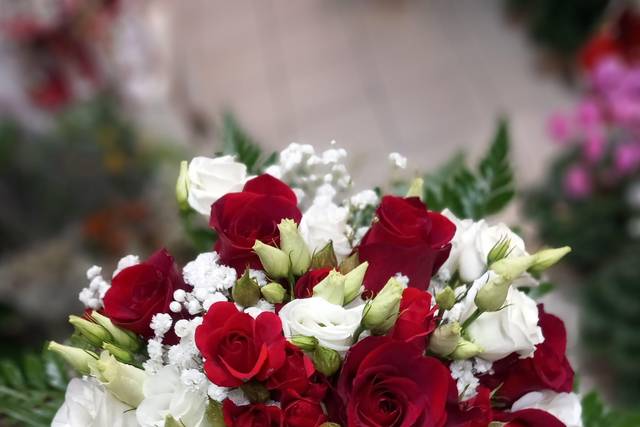 Fioridea Di Piero Puccio