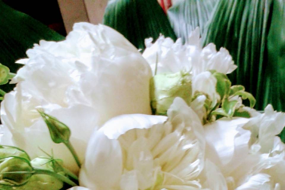 Bouquet Peonie