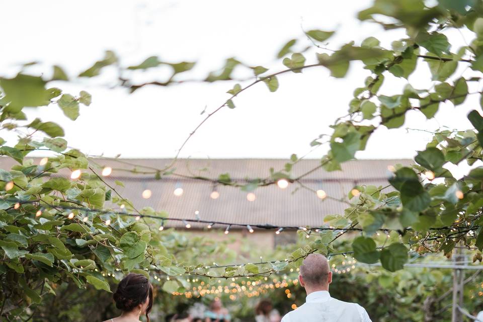 Matrimonio tra i filari