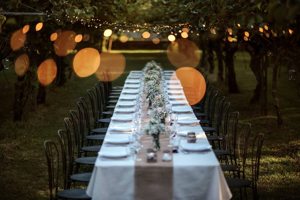Cena tra i filari romantica