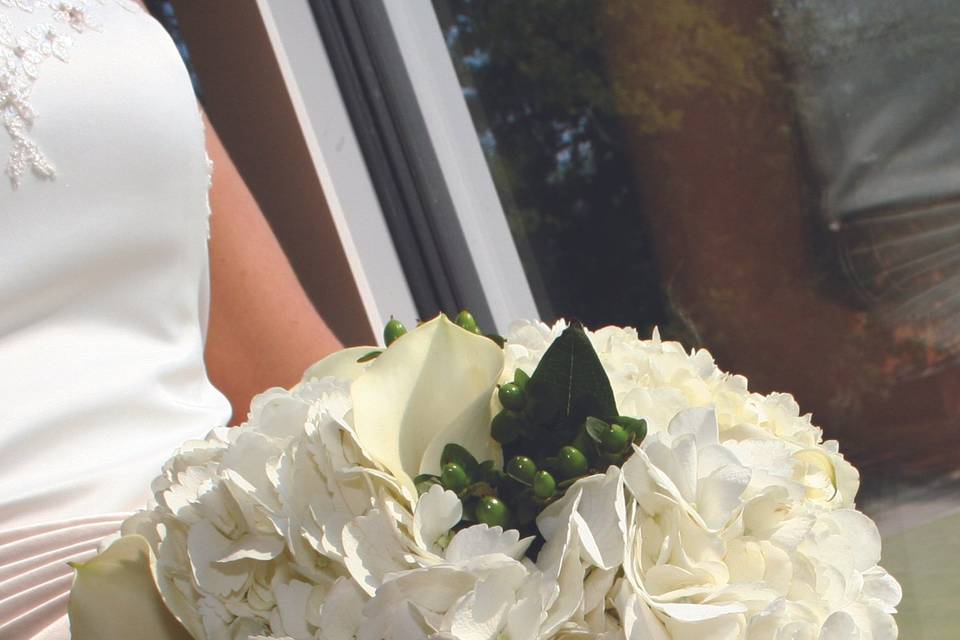 Sposa