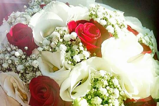 Rose rosse e lisianthus