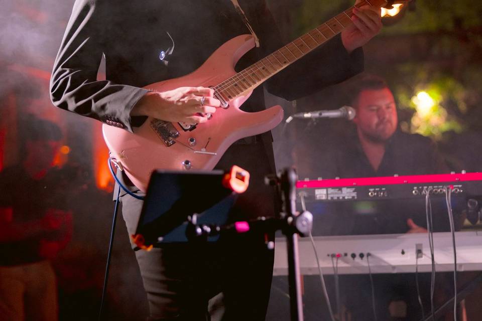 Live Musicians