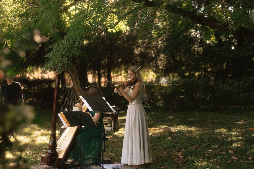 Violino e arpa in villa