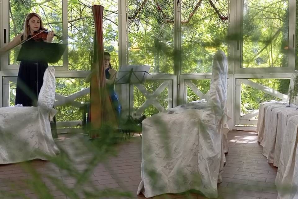 Violino e arpa - incanto