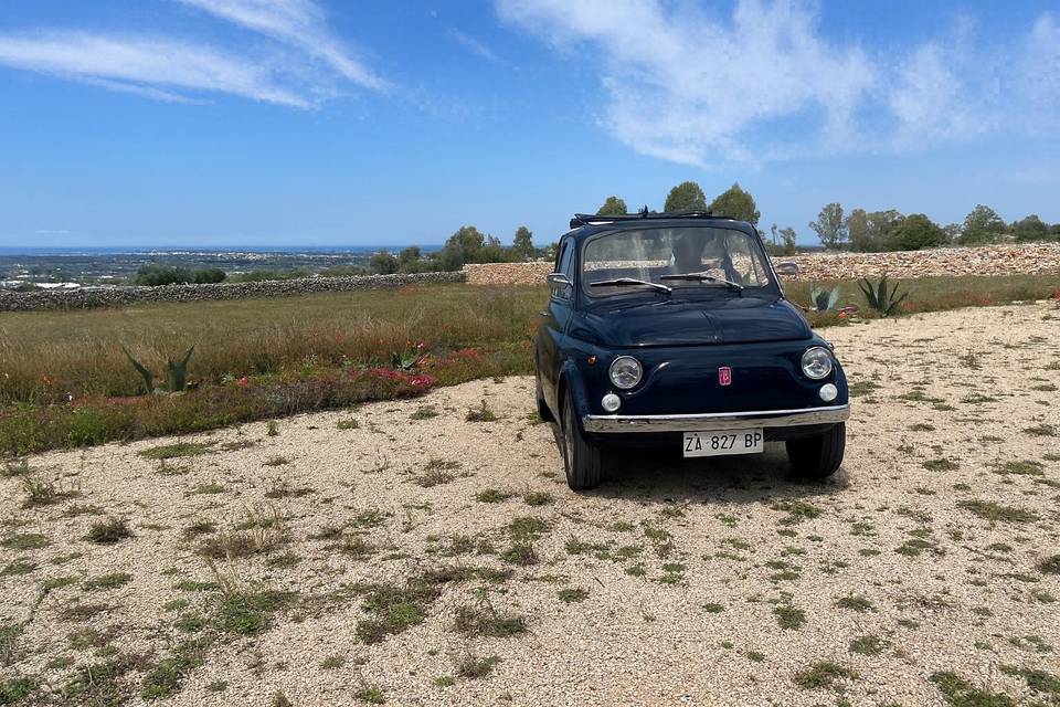 500 epoca