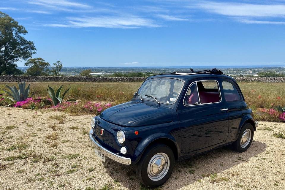 Alessandro - Fiat 500 Epoca