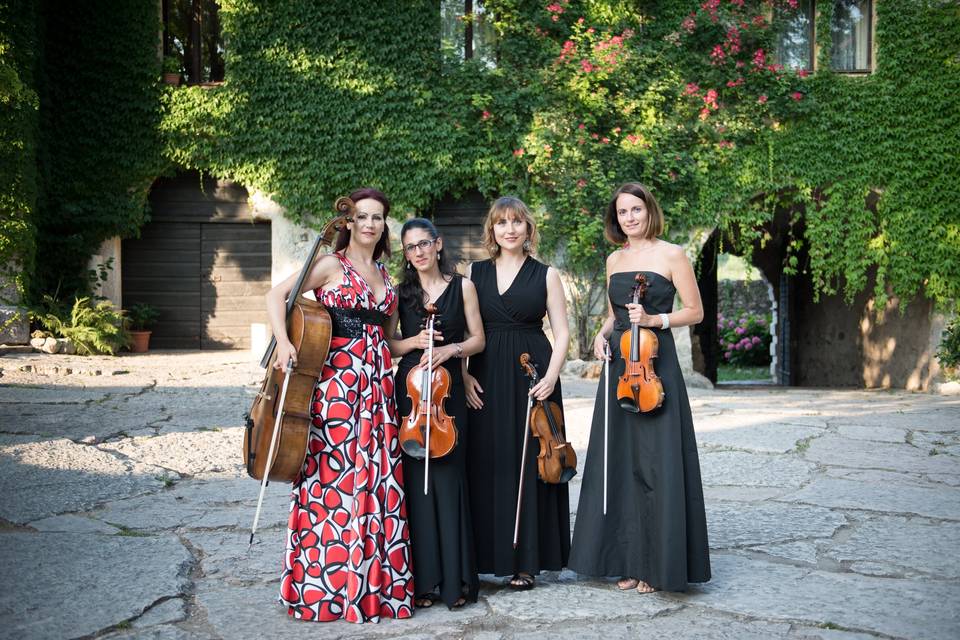 Ladies in Dress