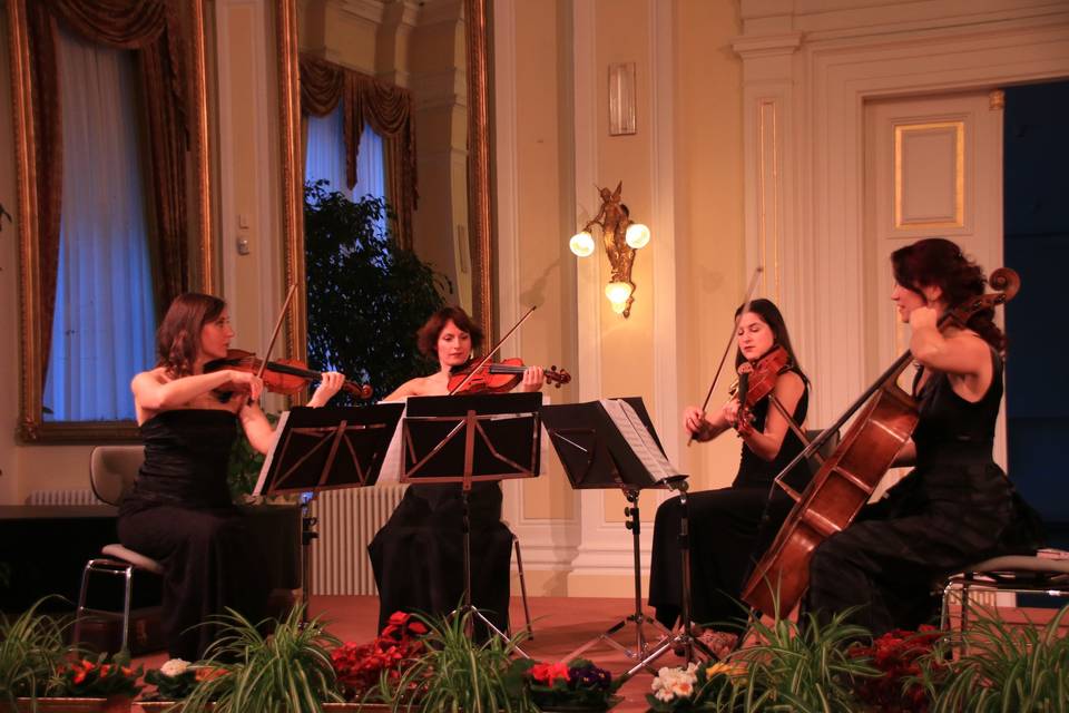 Ladies in Dress