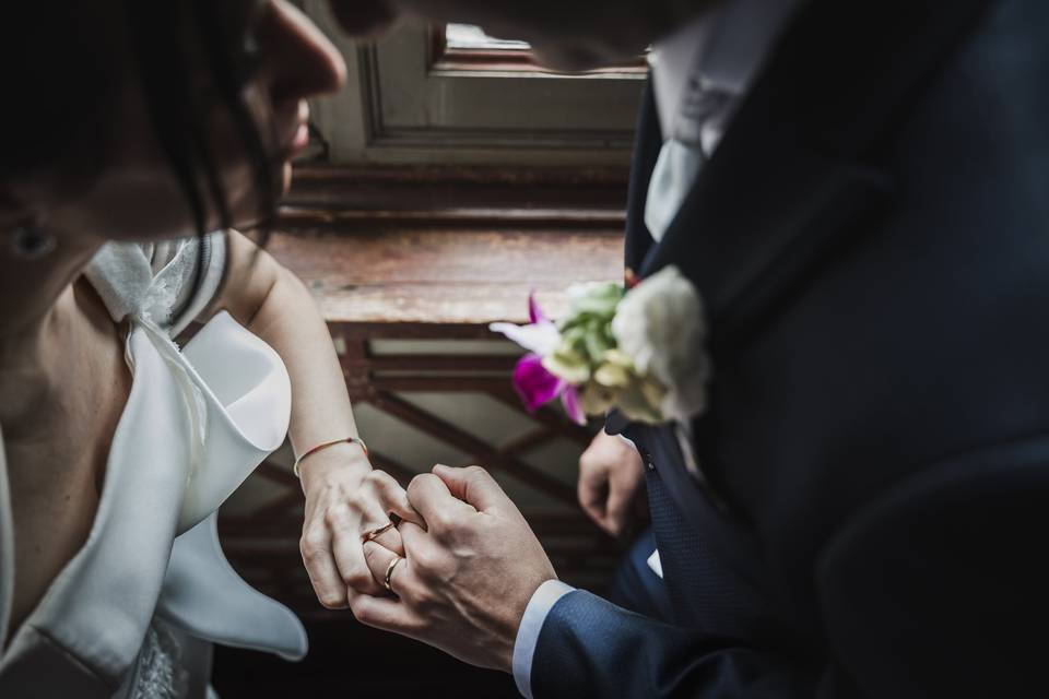 FeC fotografie