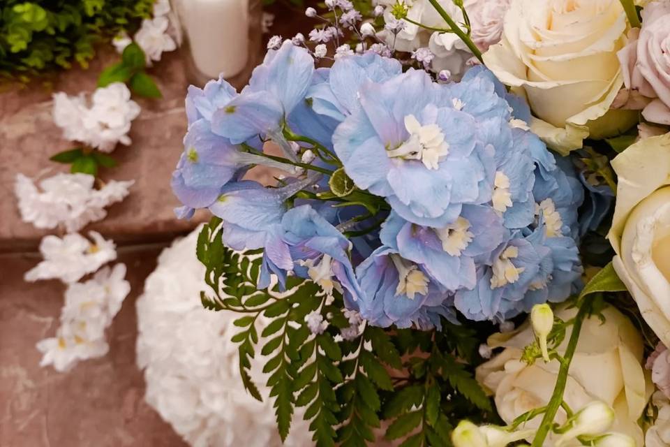 Delphinium & White roses