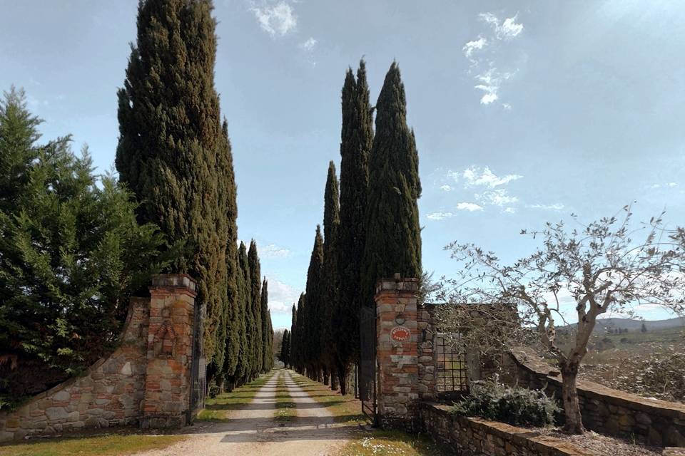Ingresso